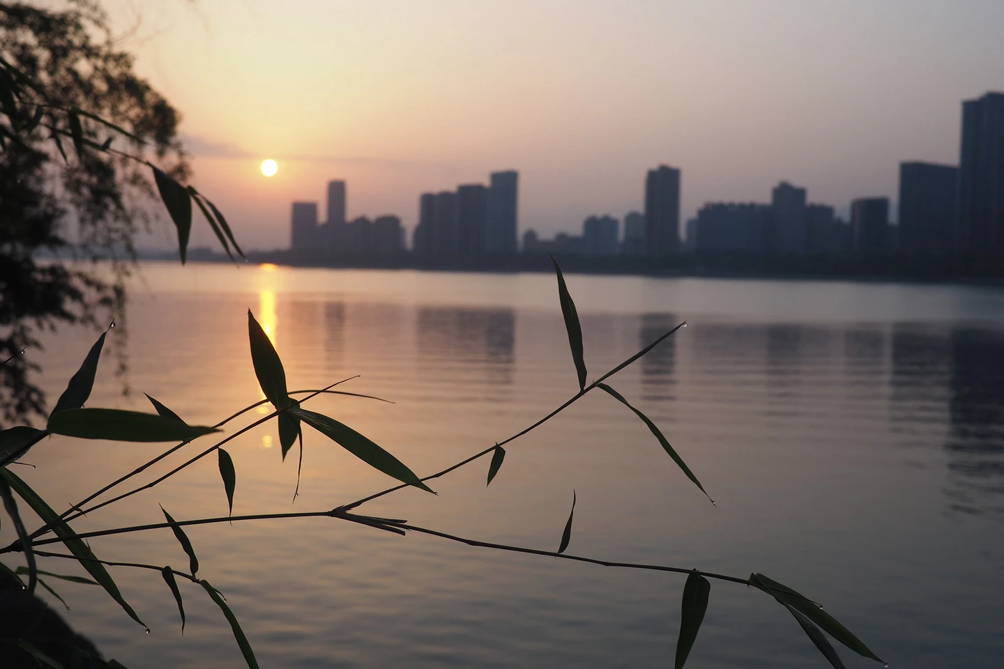 @桐庐县江畔公园 Canon EOS 700D