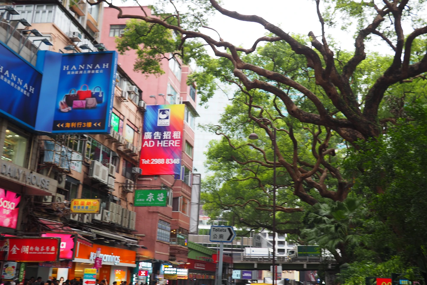 香港九龙公园